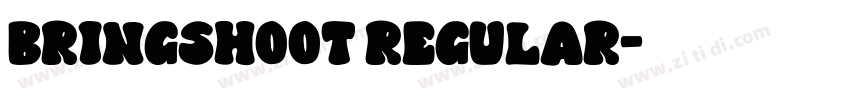 BRINGSHOOT REGULAR字体转换
